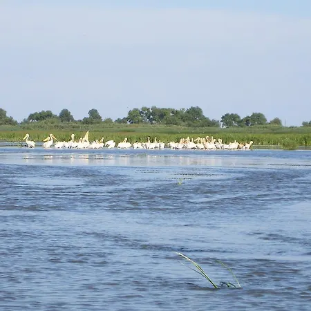 Penzion Pensiunea Iulia Sulina