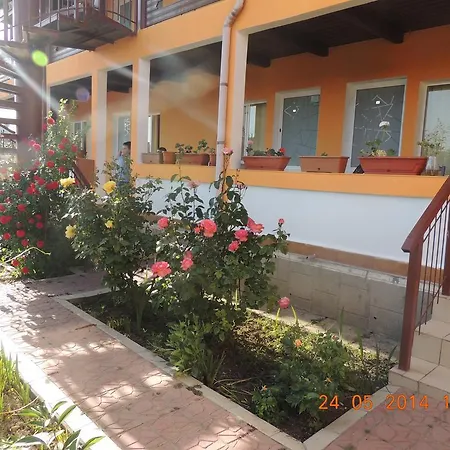 Pensiunea Iulia Penzion 3*