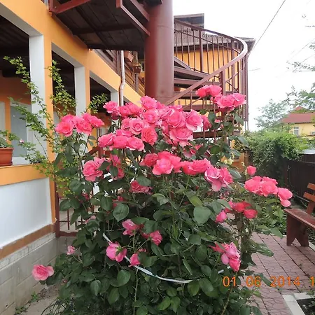 Pensiunea Iulia Penzion 3*