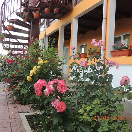 Pensiunea Iulia Penzion Sulina